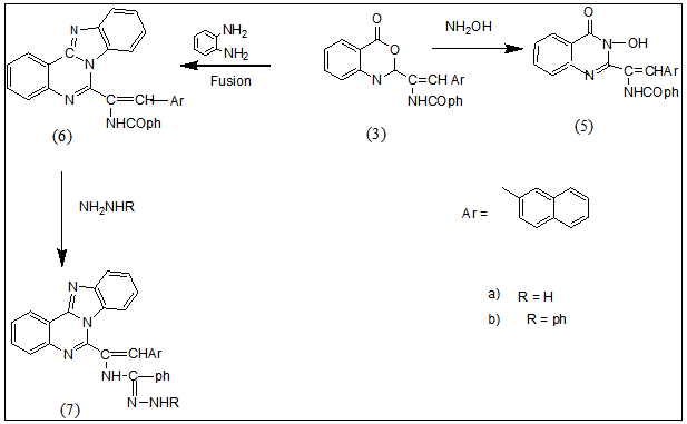 scheme 2 for benzoxazinones and quinazolinones