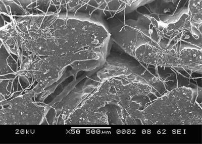 SEM micrograph of NBR-SBR (50-50) without compatibilizer.