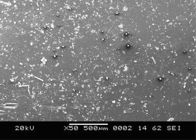 SEM micrograph of NBR-SBR (50-50) with CPE as compatibilizer.