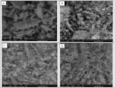 Scanning electron micrographs of calcium sulfate dihydrate (A) in absence of Additives and (b,c,d) in the presence of 10-7 M additives 1,2,3 respectively
