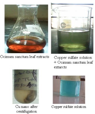Photos of Tulsi leaves, extract and CuSO4 solution, Cu NP