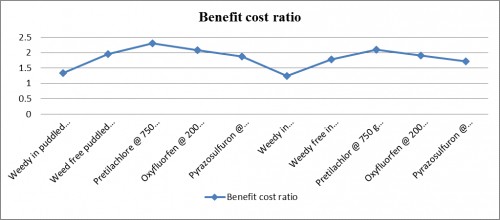 Benefit Cost ratio as influenced by various treatments