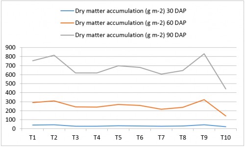 Effect of treatments on dry matter accumulation of potato at different growth stages