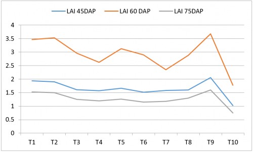 Effect of treatments on Leaf Area Index (LAI) of Potato