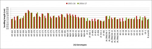 Seedling length (cm) of genotypes (A)