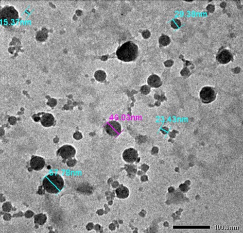 Transmission electron microscopy images of selenium nano-particles