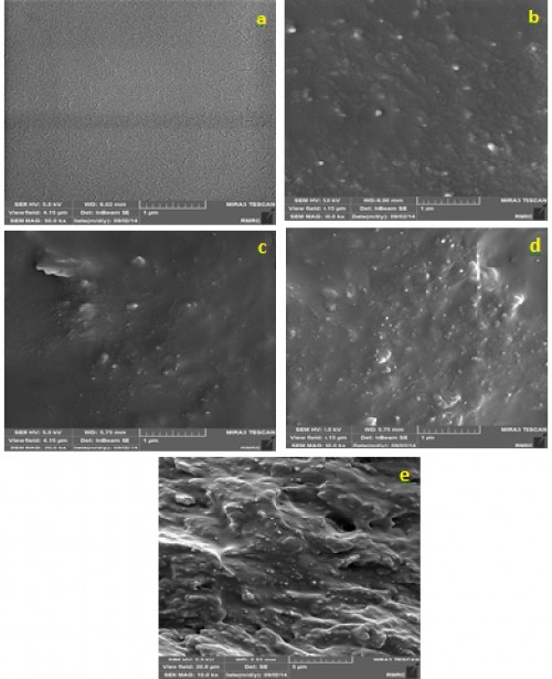SEM image of Pure PVA and Modified of PVA
