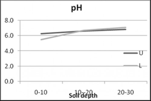 Mean pH in different soil depths