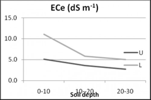 Mean ECe (dS m) in different soil depth