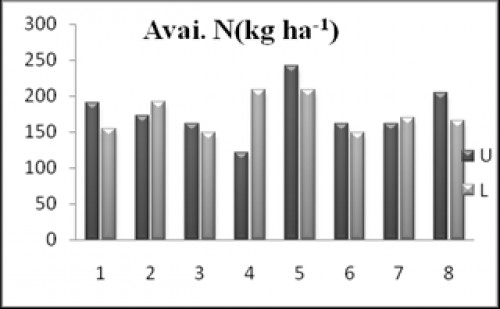 Mean avail. N (kg ha<sup>-1</sup>) in different field location