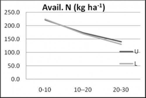 Mean avail. N (kg ha<sup>-1</sup>) in different soil depth