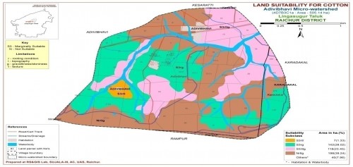 Land suitability map for Cotton in Adavibhavi village