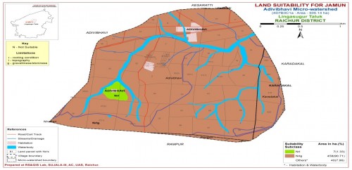 Land suitability map for Jamun in Adavibhavi MWS