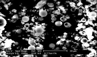 SEM Photograph of Pure Fly Ash