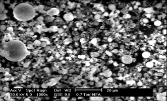 SEM Photograph of alkali activated Fly Ash