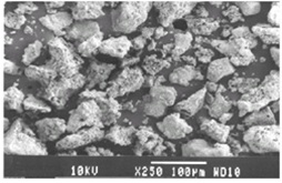 SEM image of Lead adsorbed CuO sample at low resolution