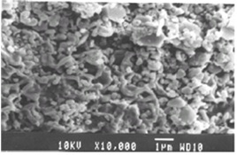 SEM image of Lead adsorbed CuO sample at high resolution
