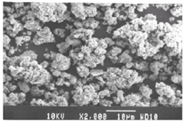 SEM image of Lead adsorbed NiO sample at low resolution