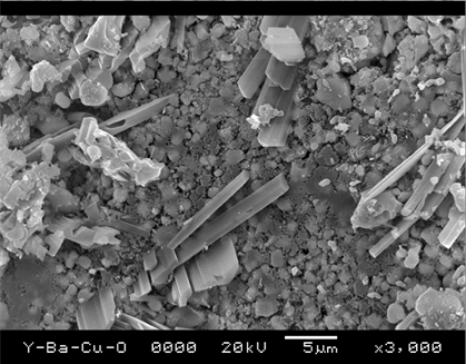 SEM image for the gold coated sample (X 3000 magnification).