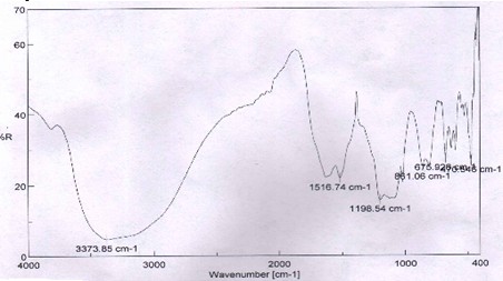 nanoparticles using Tulsi leaf extract